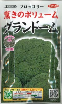 送料無料　[ブロッコリー]　グランドーム　ぺレット種子　125粒　(株)サカタのタネ   実咲550（003176）