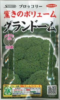 [ブロッコリー]　グランドーム　ぺレット種子　125粒 　実咲シリーズ　サカタ交配　