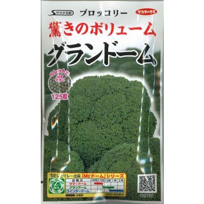画像1: 送料無料　[ブロッコリー]　グランドーム　ぺレット種子　125粒　(株)サカタのタネ   実咲550（003176）