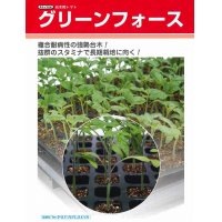 [台木/トマト用]　送料無料！　グリーンフォース　ペレット２Ｌ1000粒　タキイ種苗（株）