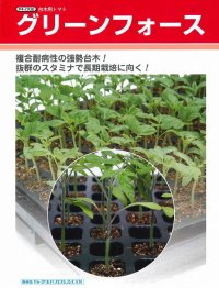 [台木/トマト用]　送料無料！　グリーンフォース　ペレット２Ｌ1000粒　タキイ種苗（株）