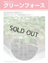 送料無料 [台木/トマト用] グリーンフォース ペレット2L1000粒 タキイ種苗(株)