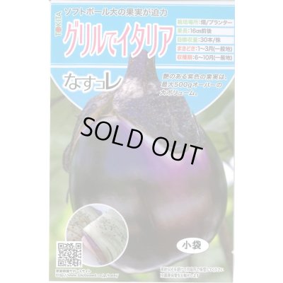 画像1: 送料無料　[なす]　グリルでイタリア　20粒　トキタ種苗(株)