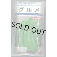 [えんどう]　スナップエンドウ　グルメ　1L（およそ3160粒）　タキイ育成