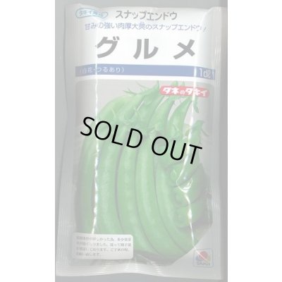 画像1: 送料無料　[えんどう]　スナップエンドウ　グルメ　1dl(およそ290粒)　タキイ種苗(株)