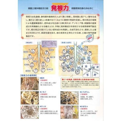 画像3: 肥料　発根力　1L　株式会社サングリーンオリエント