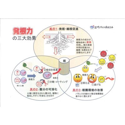 画像5: 肥料　発根力　1L　株式会社サングリーンオリエント