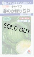 送料無料　[キャベツ]　春のかほりSP　2000粒　タキイ種苗(株)