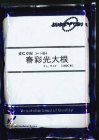 [大根]　春彩光　コート 5000粒　渡辺交配