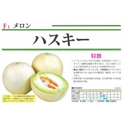 画像2: 送料無料　[メロン]　ハスキー　7粒　（株）大和農園