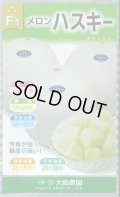 送料無料　[メロン]　ハスキー　7粒　(株)大和農園