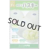 送料無料　[メロン]　ハスキー　7粒　(株)大和農園