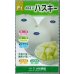 画像1: 送料無料　[メロン]　ハスキー　7粒　(株)大和農園 (1)