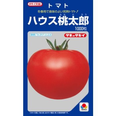 画像1: [トマト/桃太郎系]　送料無料！　ハウス桃太郎　1000粒 貴種（コートしてません） 　タキイ種苗（株）