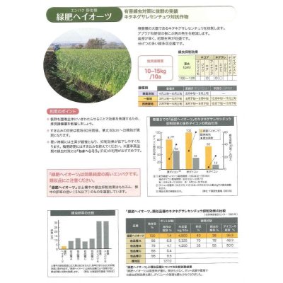 画像6: [緑肥]　エンバク　ヘイオーツ　1kg　雪印種苗(株)