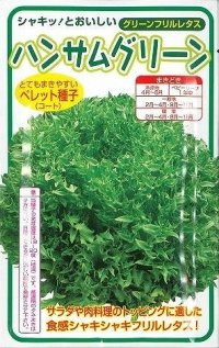 [レタス]　ハンサムグリーン　100粒　横浜植木（株）