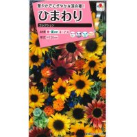 花の種　ひまわり　コレクション　小袋　タキイ種苗（株）