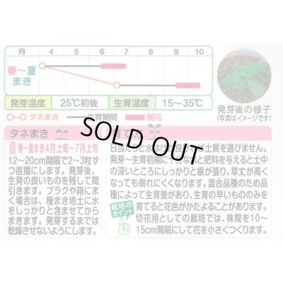 画像2: 送料無料　花の種　ひまわり　コレクション　小袋　タキイ種苗(株)NL300