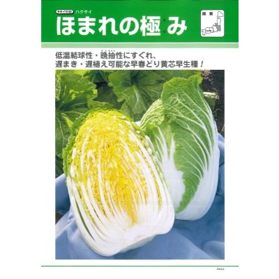 画像3: 送料無料　[白菜]　ほまれの極み　0.8ml　タキイ種苗(株)　DF