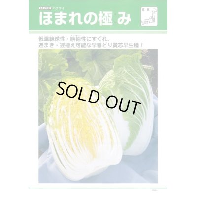 画像3: [白菜]　送料無料！　ほまれの極み　　ペレット5000粒　タキイ種苗（株）