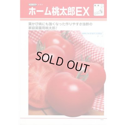 画像3: 送料無料　[トマト/桃太郎系]　ホーム桃太郎ＥＸ　29粒　タキイ種苗(株)　DF
