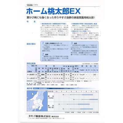 画像4: [トマト/桃太郎系]　ホーム桃太郎ＥＸ　29粒　タキイ種苗（株）　DF　