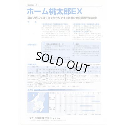 画像4: 送料無料　[トマト/桃太郎系]　ホーム桃太郎ＥＸ　29粒　タキイ種苗(株)　DF