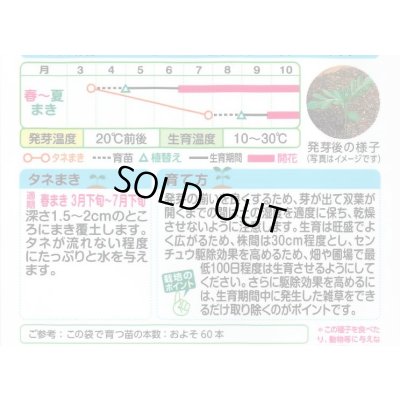 画像2: 送料無料　花の種　フレンチマリーゴールド　グランドコントロール　小袋　タキイ種苗(株)　(NL150)