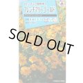 送料無料　花の種　フレンチマリーゴールド　グランドコントロール　小袋　タキイ種苗(株)　(NL150)