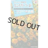 送料無料　花の種　フレンチマリーゴールド　グランドコントロール　小袋　タキイ種苗(株)　(NL150)