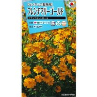 花の種　フレンチマリーゴールド　グランドコントロール　小袋　　タキイ種苗（株）　(NL150)