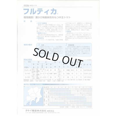 画像6: 送料無料　[トマト/中玉トマト]　フルティカ　100粒　タキイ種苗(株)