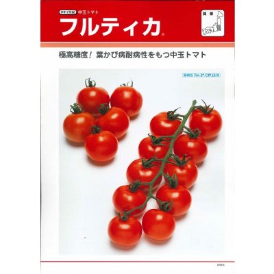 画像5: 送料無料　[トマト/中玉トマト]　フルティカ　1000粒　タキイ種苗(株)
