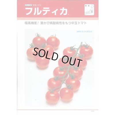 画像5: 送料無料　[トマト/中玉トマト]　フルティカ　100粒　タキイ種苗(株)