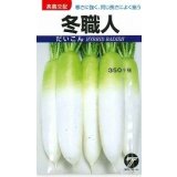 送料無料　[大根]　冬職人　4ml　(株)タカヤマシード