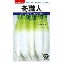 送料無料　[大根]　冬職人　4ml　(株)タカヤマシード