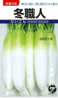 送料無料　[大根]　冬職人　4ml　(株)タカヤマシード