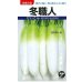 画像1: 送料無料　[大根]　冬職人　10ml　(株)タカヤマシード (1)