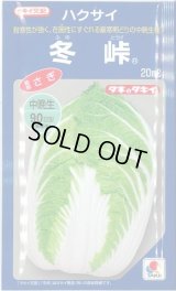 送料無料　[白菜]　冬峠　20ml　タキイ種苗(株)