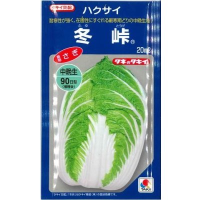 画像1: 送料無料　[白菜]　冬峠　20ml　タキイ種苗(株)