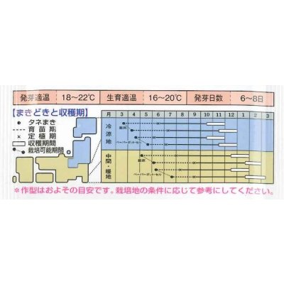 画像3: 送料無料　[ねぎ]　ふゆわらべ　4.5ml　タキイ種苗　GF