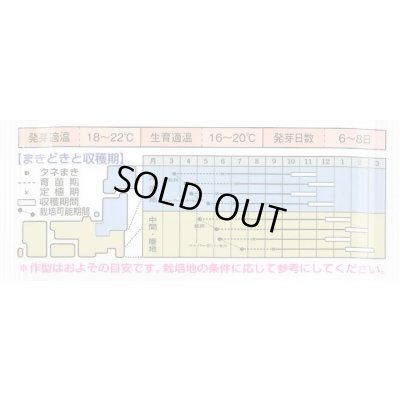 画像3: 送料無料　[ねぎ]　ふゆわらべ　1dl　タキイ種苗