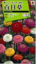 送料無料　花の種　百日草・サンボウ混合　小袋　タキイ種苗(株)