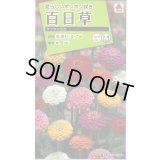 送料無料　花の種　百日草・サンボウ混合　小袋　タキイ種苗(株)NL200