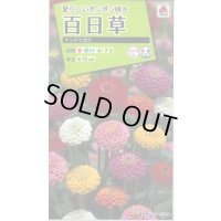 送料無料　花の種　百日草・サンボウ混合　小袋　タキイ種苗(株)NL200
