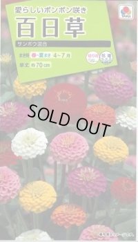 送料無料　花の種　百日草・サンボウ混合　小袋　タキイ種苗(株)NL200