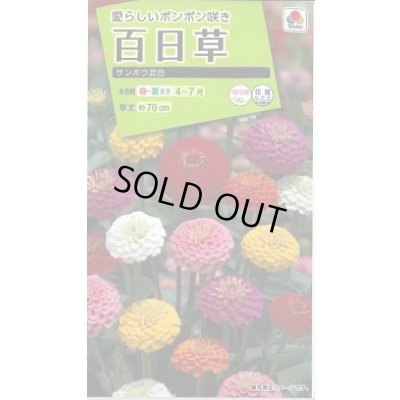画像1: 送料無料　花の種　百日草・サンボウ混合　小袋　タキイ種苗(株)NL200