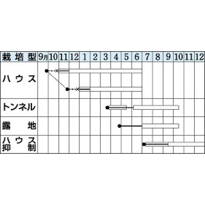 画像2: [オクラ]　送料無料！　アーリーファイブ　１万粒　タキイ種苗（株）