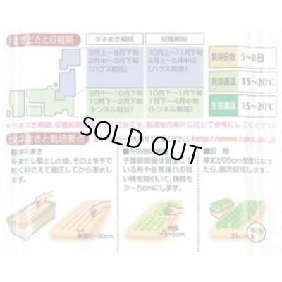 画像4: [ほうれんそう] 弁天丸 3万粒(Mサイズ) タキイ種苗