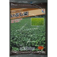 [緑肥]　チャガラシ　いぶし菜 1kg　タキイ種苗（株）